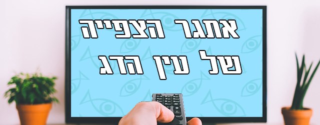 צופים, מגיבים, ונהנים. 